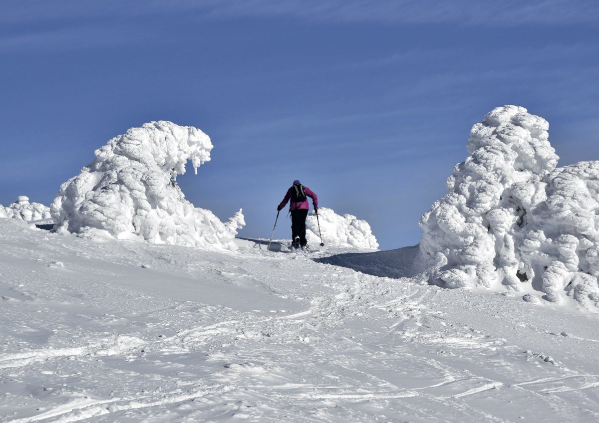 « Escapades hivernales, 70 itinéraires en raquettes ou à ski sur les crêtes de l’Arc jurassien franco-suisse » de Jean-Luc Girod.

Disponible en librairie ou en ligne sur rossolis.ch

#jura #arcjurassien #raquette #ski #randonnée #randonnéeàski #hiver