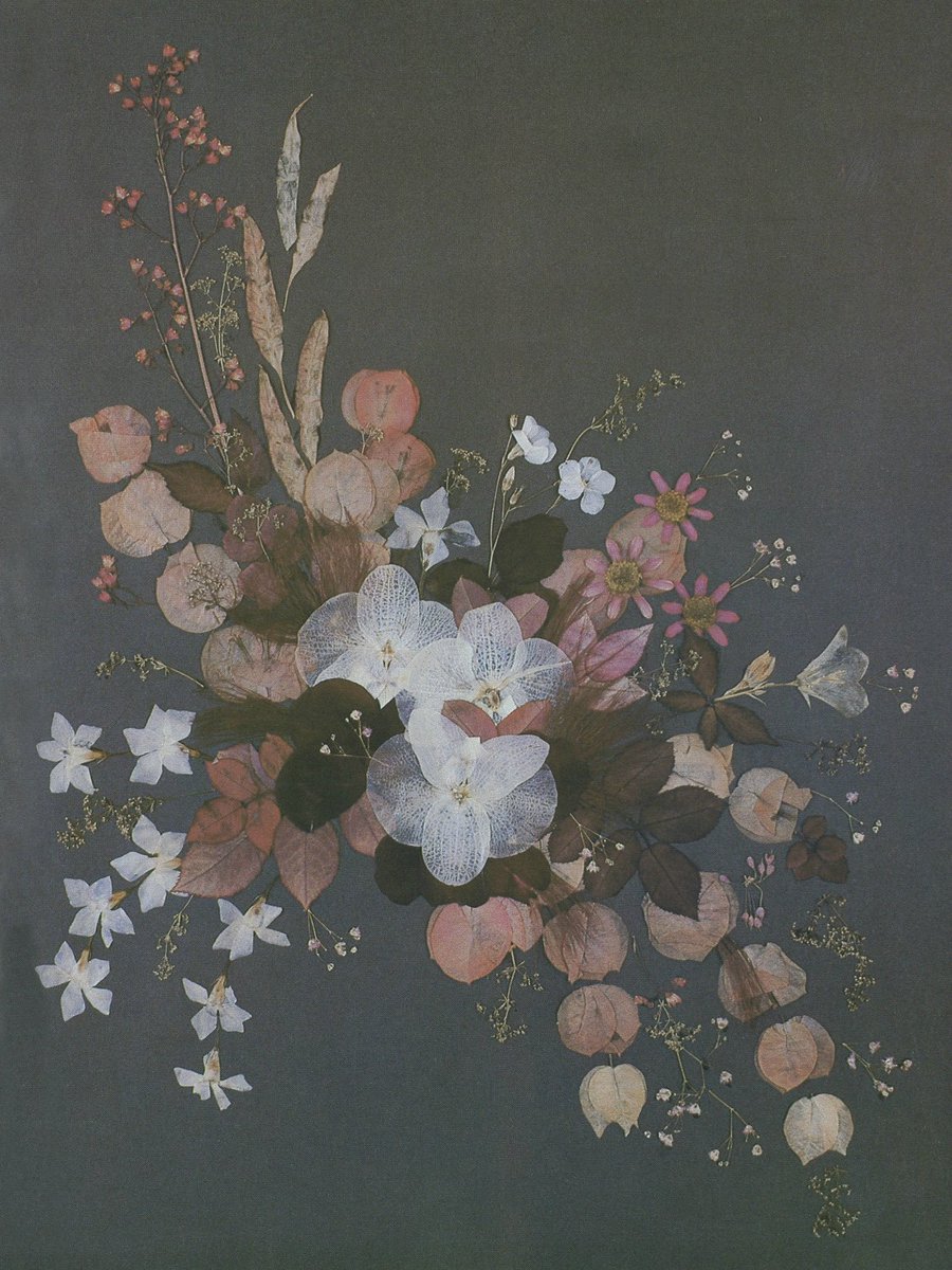 grace kelly &amp; her passion for flower pressing