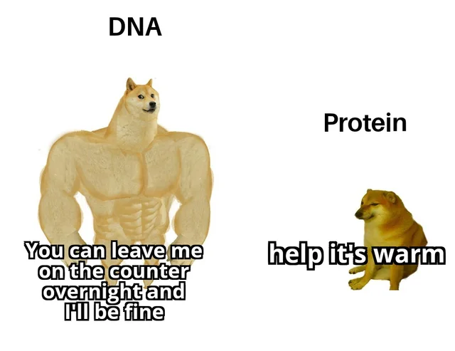 DNA_RNA_Uni's tweet photo. RNA [screams internally] https://t.co/5Xnk02Ijhv