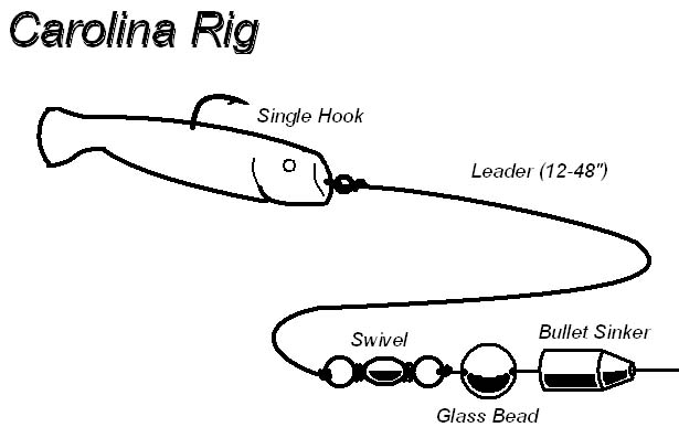 BassFishnTips's tweet image. Carolina Rig Basics for Deep Water Bass 

bassfishingtips-tales.blogspot.com/2022/07/caroli…