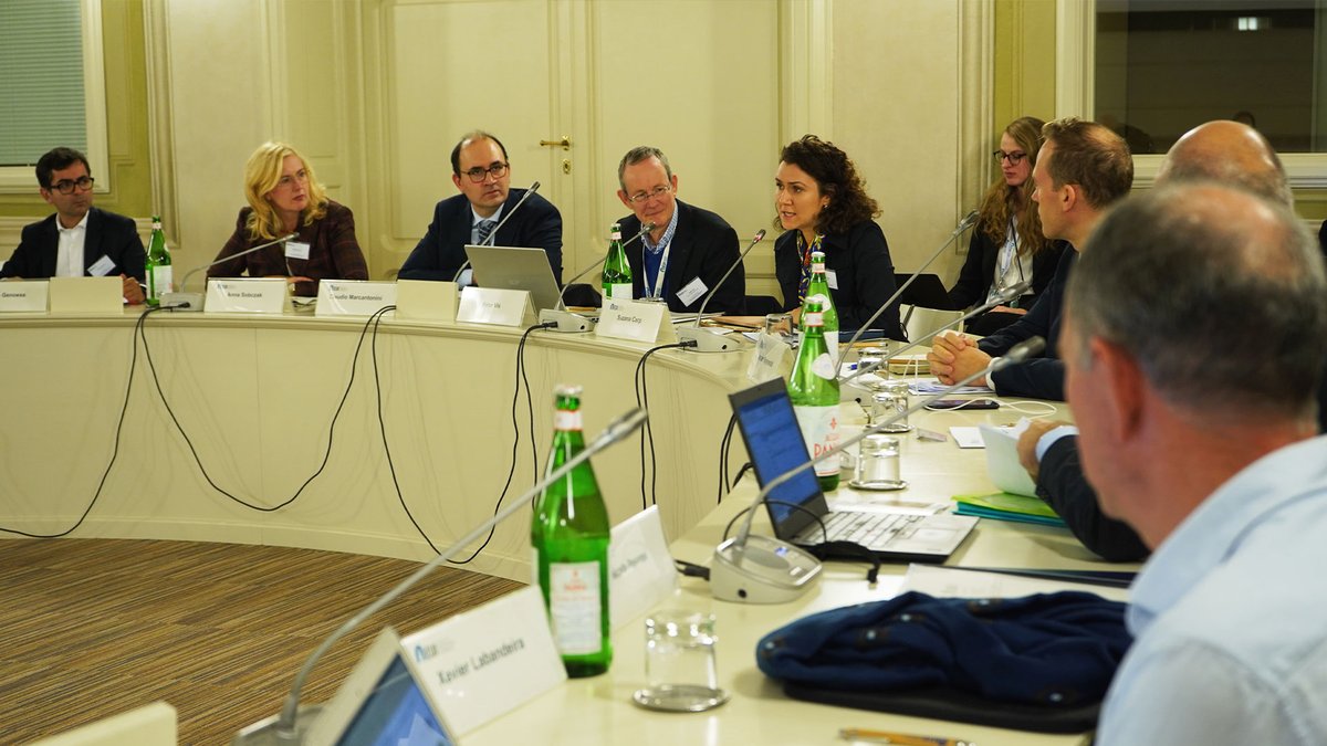 School of Transnational Governance tweet media