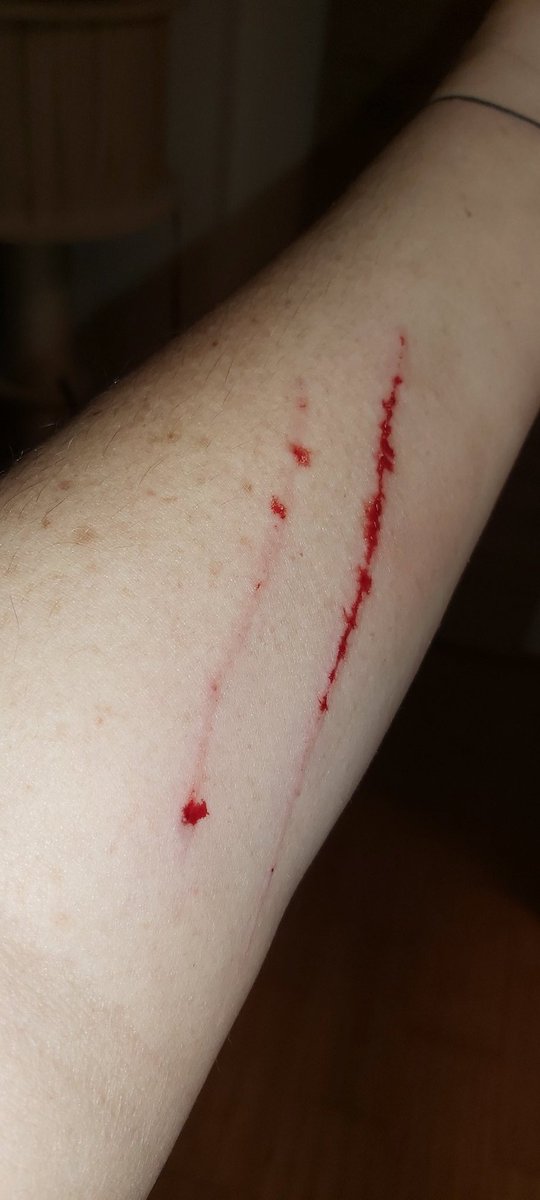 SiSinnbeleert's tweet photo. Nimm dir eine Katze, haben sie gesagt.
Katzen sind sooo lieb, haben sie gesagt.
#CatsOfTwitter #CatsOfHell https://t.co/b9t3chLgX9