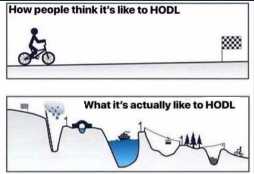 MoneyZebraNFT's tweet photo. @100trillionUSD Here buddy, I fixed it for you and your Bitcoin. https://t.co/wnPIvFOxTh