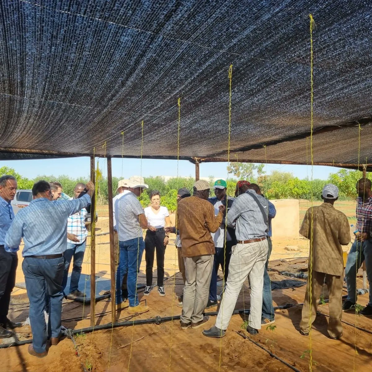 Esta semana estamos de misión comercial en Mauritania🇲🇷,  coordinada por el Instituto de Fomento <a href="/infoRMurcia/">Instituto de Fomento</a>, para negociar con diversas cooperativas y organismos oficiales, como el Ministerio de Agricultura,e incrementar las exportaciones de infraestructura agrícola al país.