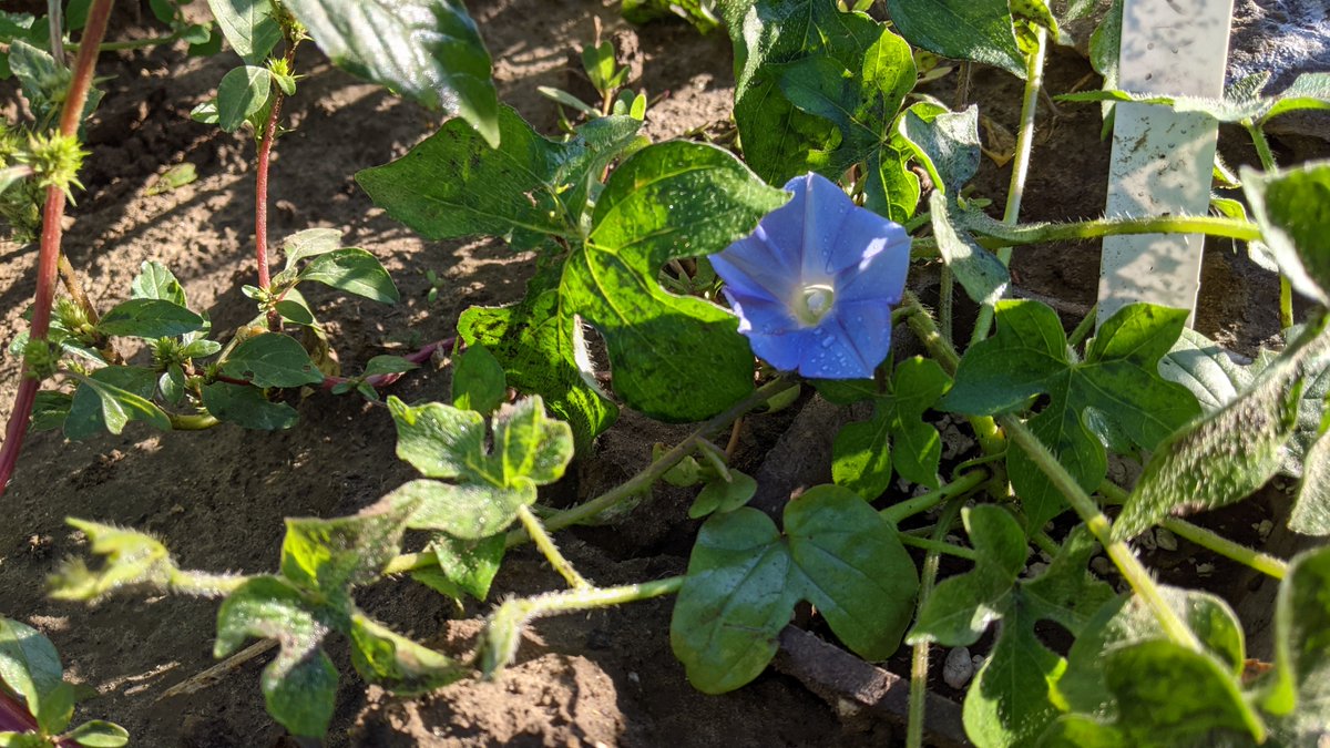 John Stinchcombe tweet media