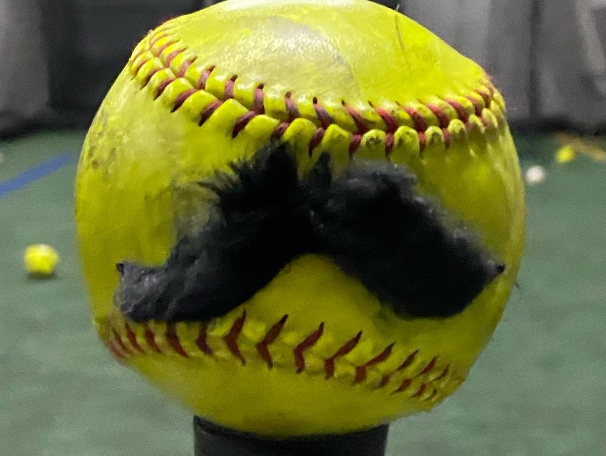 Tina Plew Whitlock tweet media