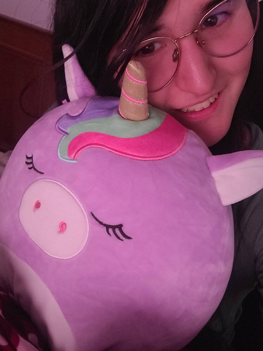 I'm a squishmallow addict now.