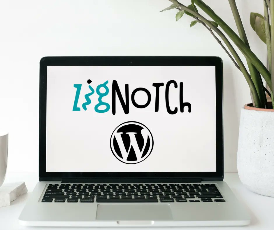 ZIGnotch tweet media