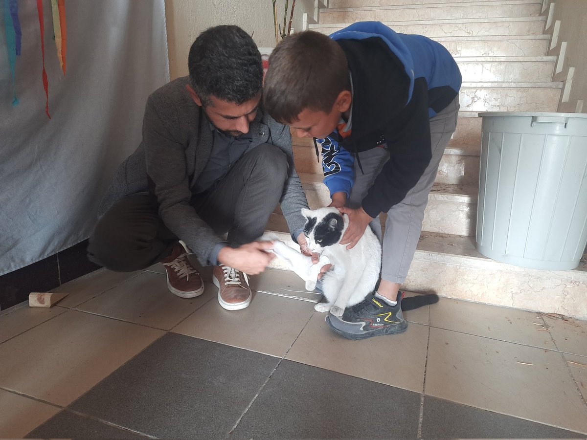 Bizim için her can önemlidir. Okulumuz bahçesinde ayağı kırılmış olarak bulduğumuz kediye atel uygulaması yaptık, karnını doyurduk.

<a href="/MersinMEM/">Mersin İl Millî Eğitim Müdürlüğü</a> <a href="/AdemKoca46/">Adem Koca</a> <a href="/mut_mem/">Mut İlçe MEM</a> @harungergin <a href="/Omer_okur33/">ÖMER</a> <a href="/ibrahim_oguz/">İbrahim OĞUZ</a> <a href="/Abdullah_Bayt79/">Abdullah Bayat</a> <a href="/ErdovanMehmet/">Mehmet Erdovan</a> <a href="/Zelihasahin2802/">Zeliha Şahin</a> <a href="/Esmeyenesma/">Esma</a> <a href="/fatma_sedaa/">Fatma Seda Avcı</a>