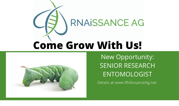 RNAissanceAg's tweet photo. Cool opportunity to join our team! Looking for a senior research entomologist who's fluent in insect toxicology, skilled at experimental design, bioassays. Learn more: https://t.co/NaGuzHlF7w #biopesticide #innovation https://t.co/i4LdJJONTi