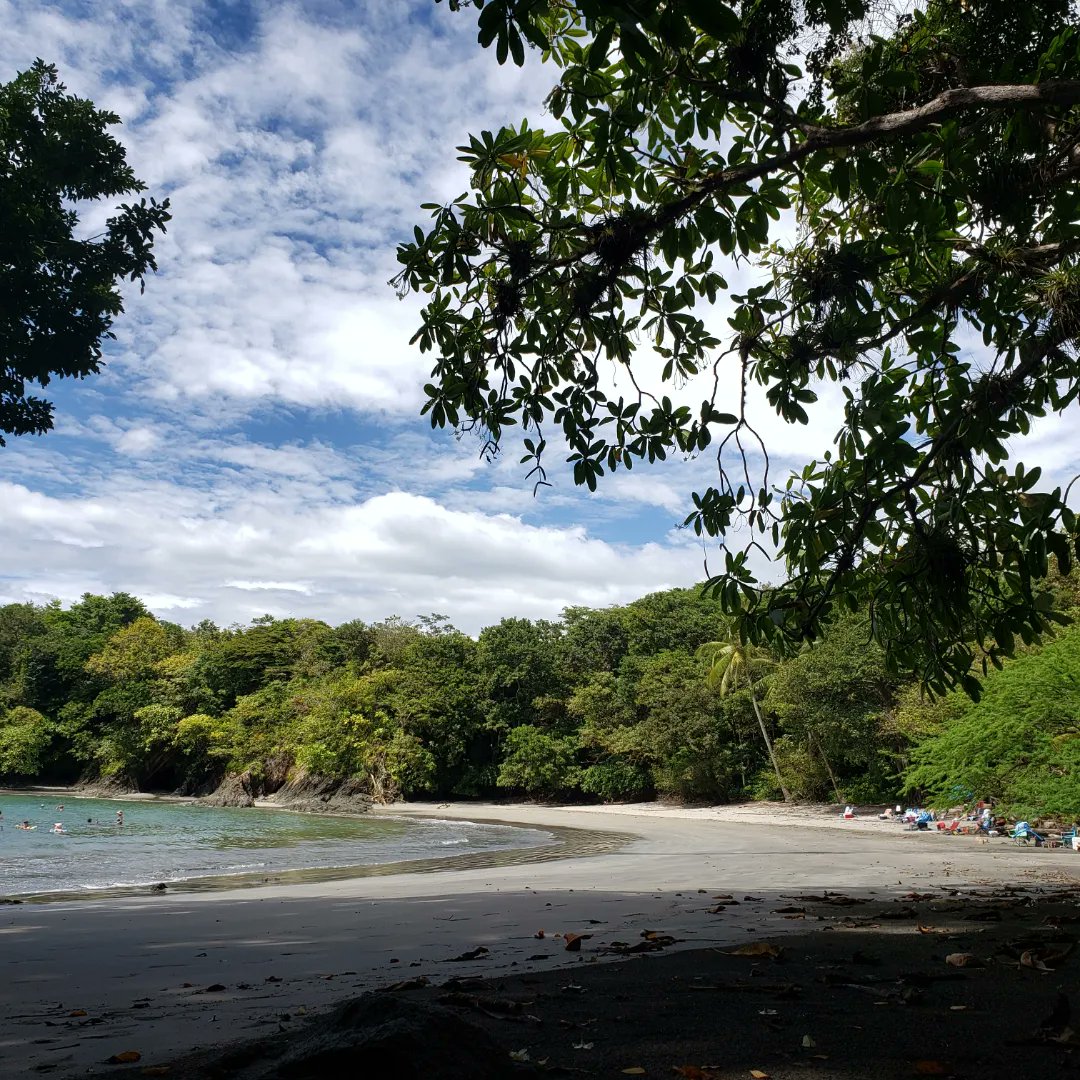 AnimatorsAbroad tweet media