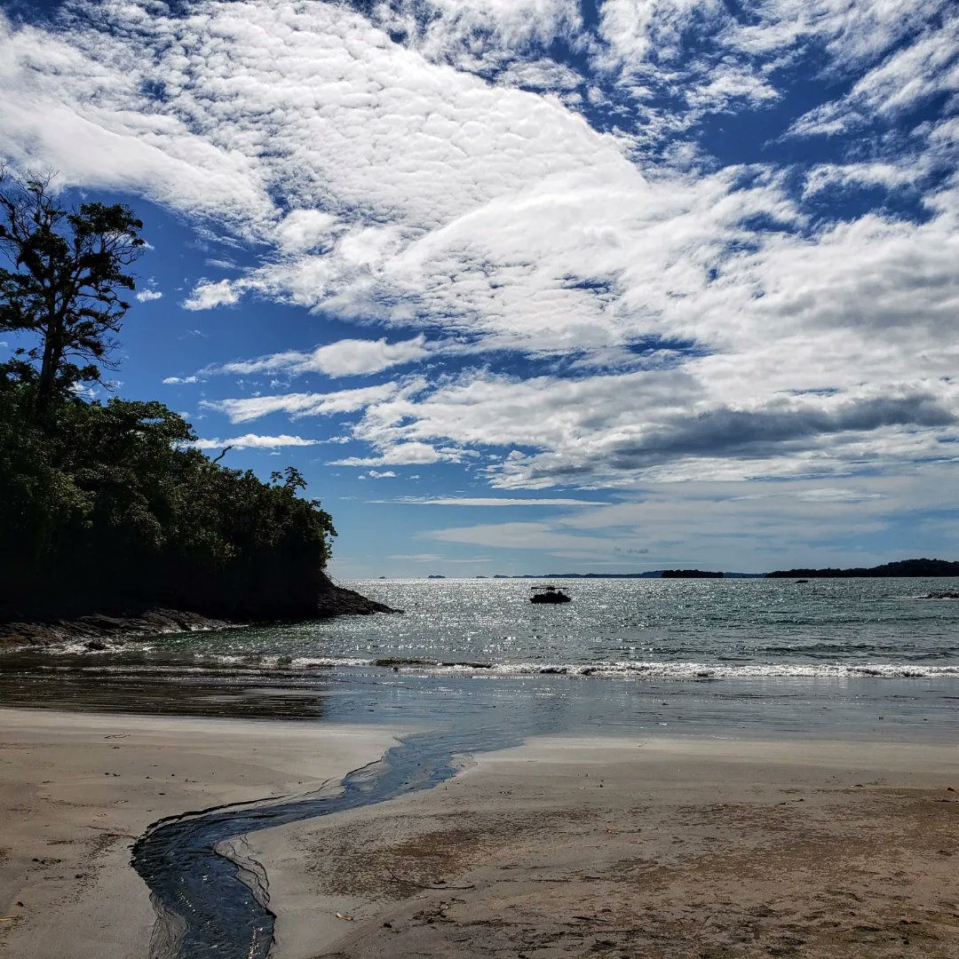 AnimatorsAbroad tweet media