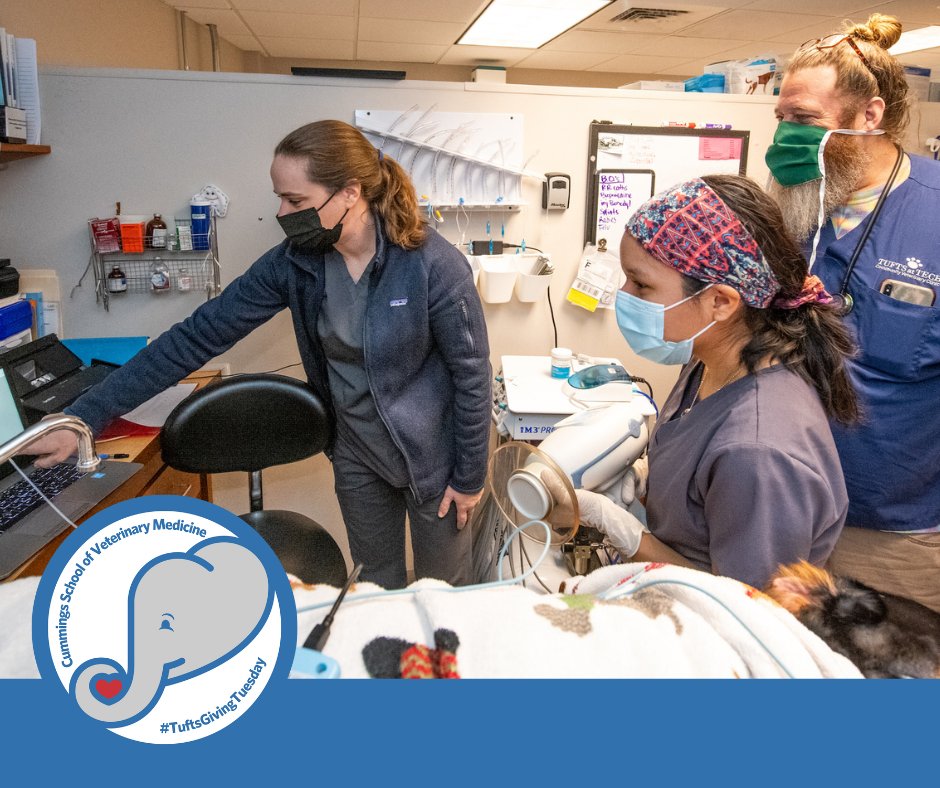 Tweet by Tufts | Cummings School of Veterinary Medicine