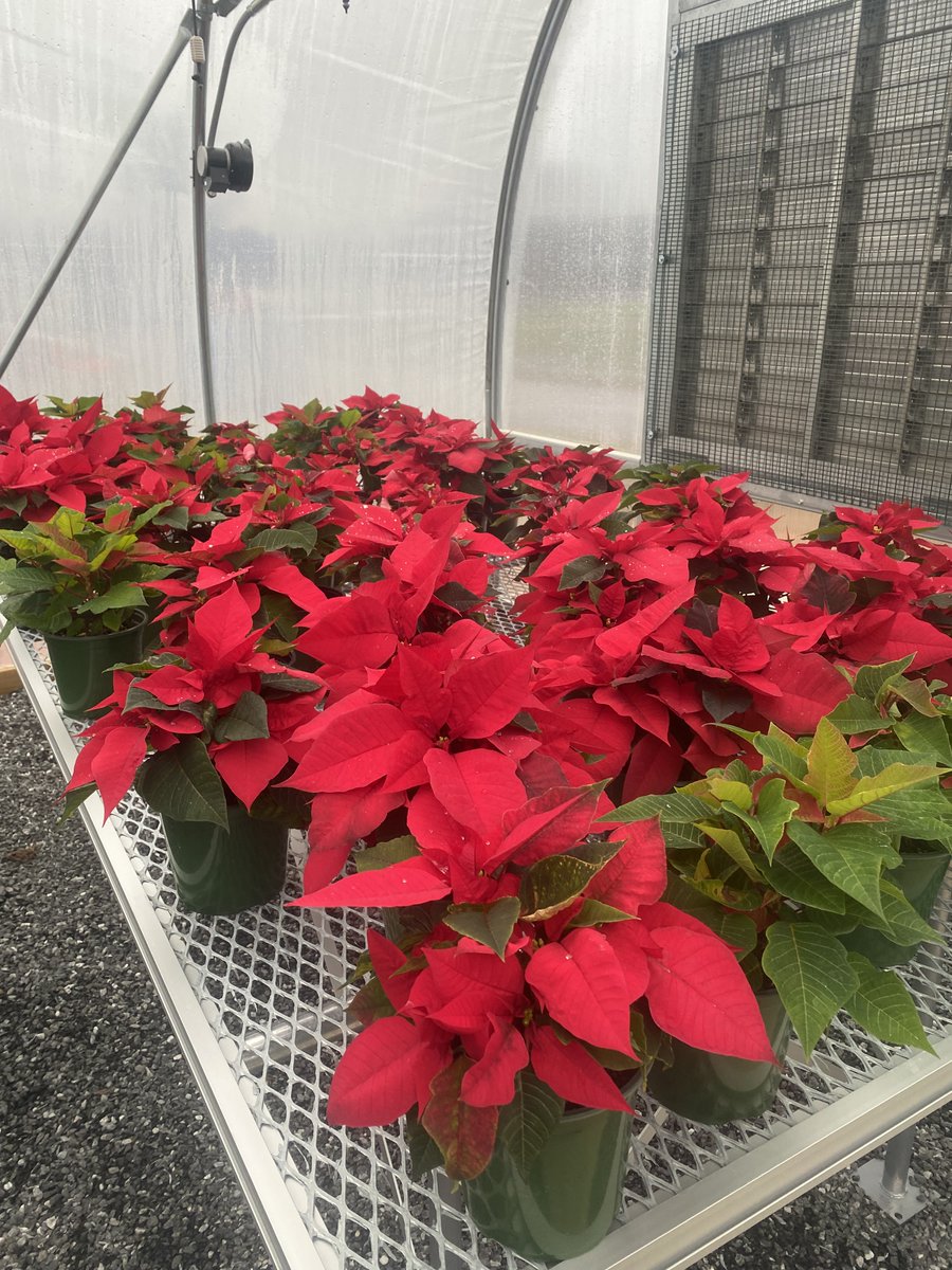 Freedom High School tweet media