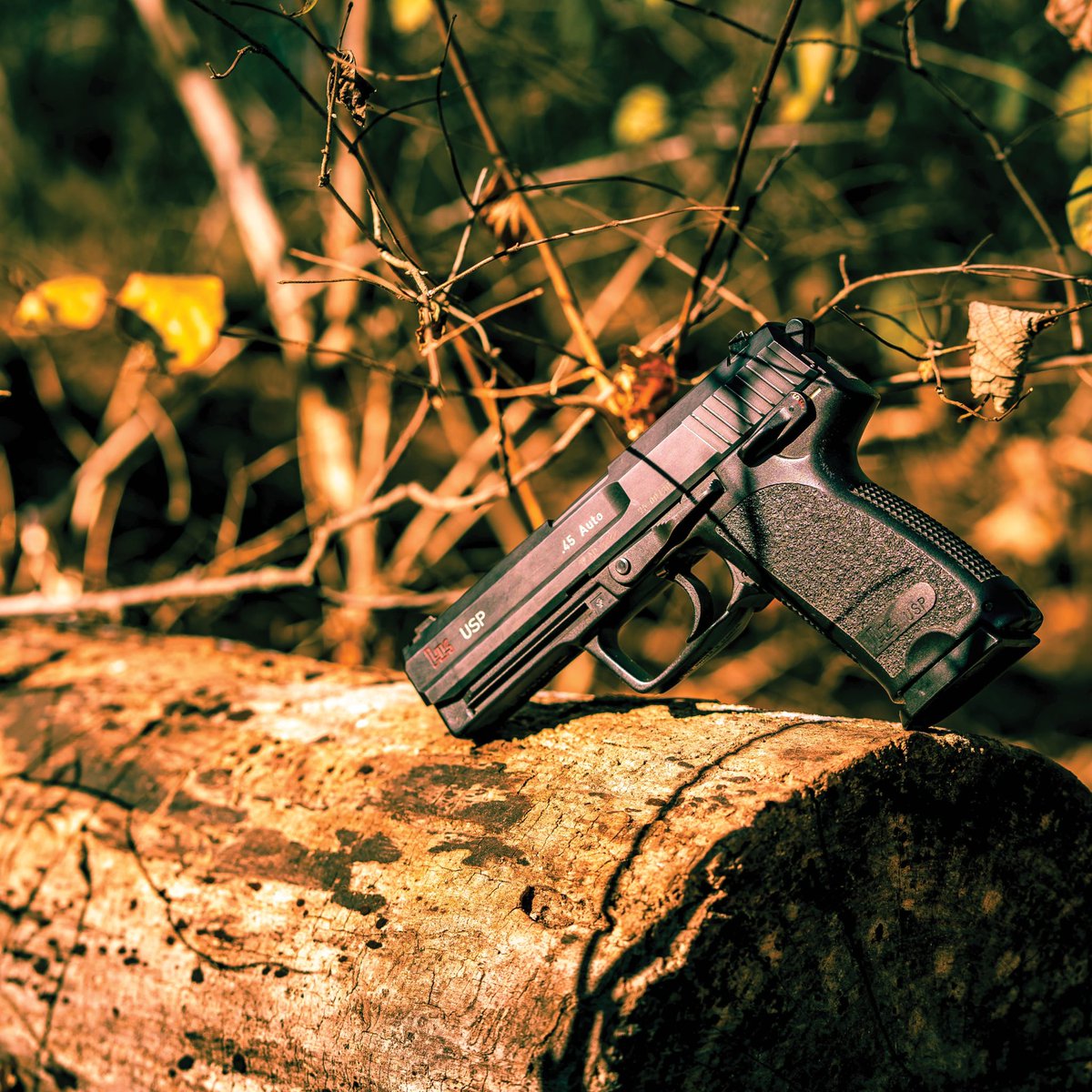 Kiwacka47's tweet photo. @HecklerAndKoch fall collection.
#HK #mp5 #sp5 #usp #p30l #vp9 #photography #guns #german #germanguns https://t.co/ofnpqNlH3M