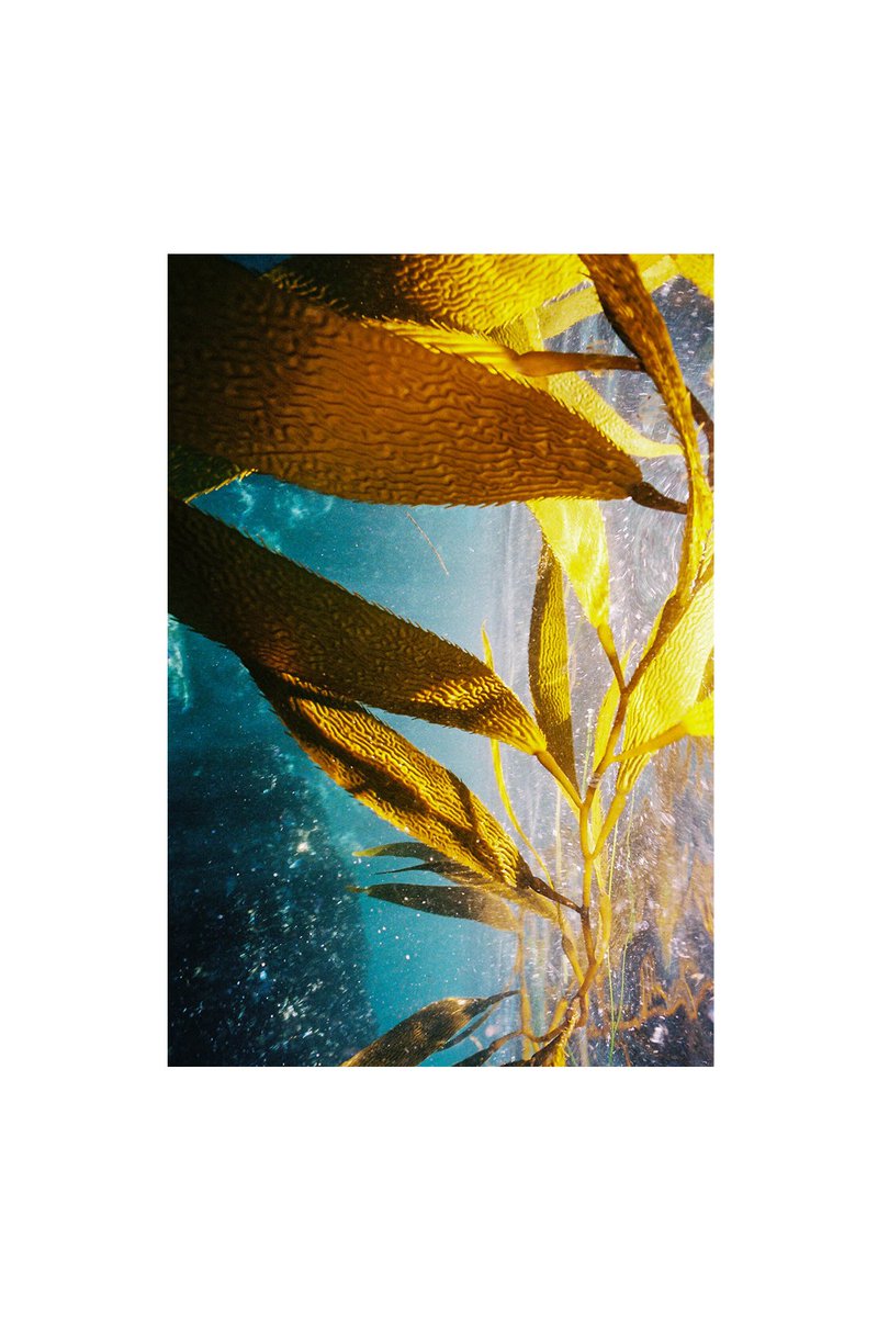 Rachel Sandquist tweet media