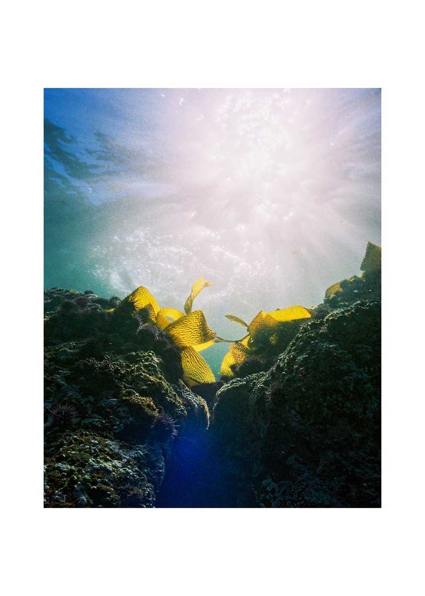 Rachel Sandquist tweet media