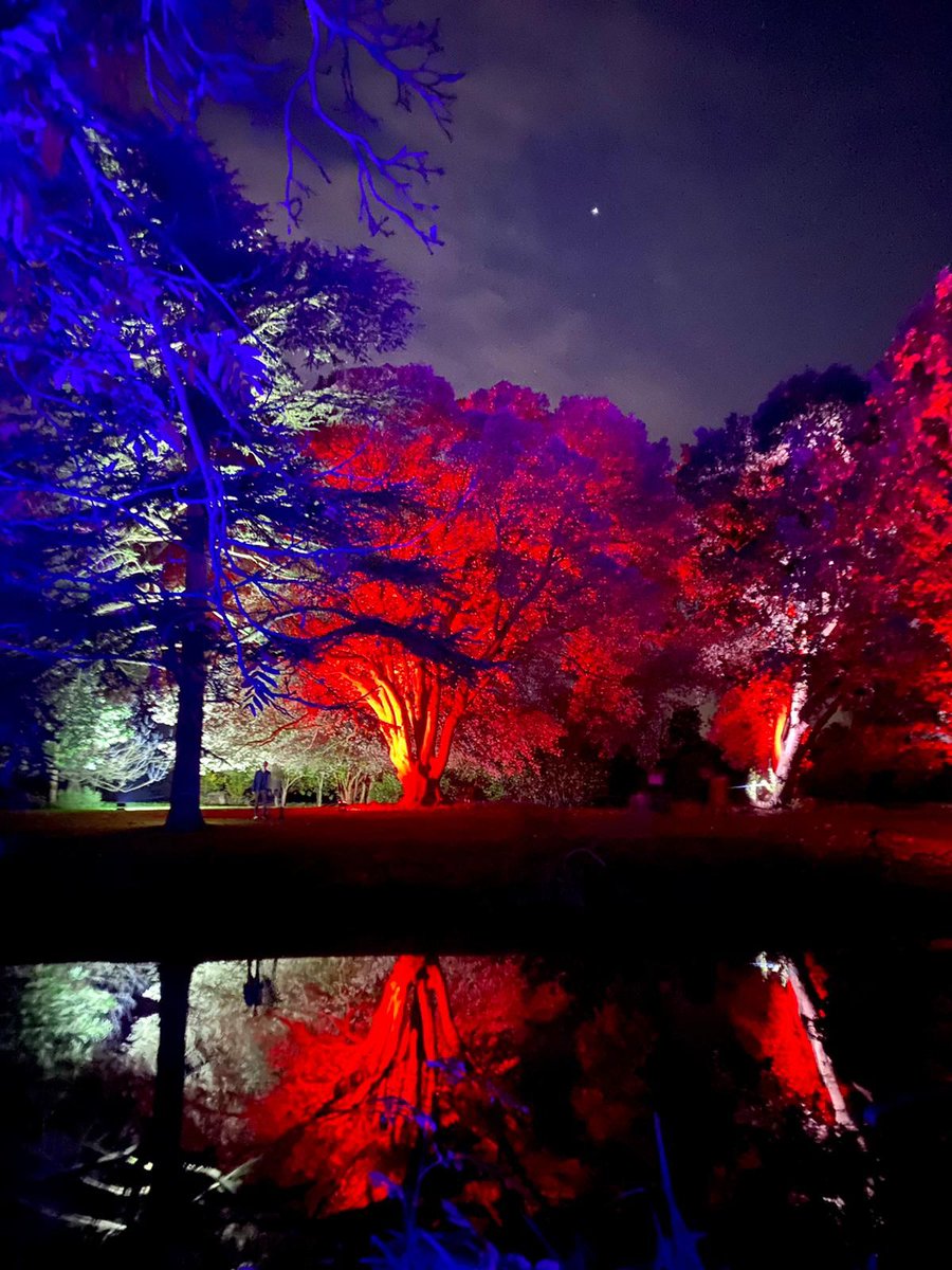 What an amazing turn out for the second weekend at <a href="/SyonParkHouse/">Syon House and Gardens</a> for the Enchanted Woodland.

Thank you to everyone who came and joined us on the unique illuminated trail. We will be here from Friday 25th to Sunday 27th for the final weekend.

Book here: fal.cn/3tOO8