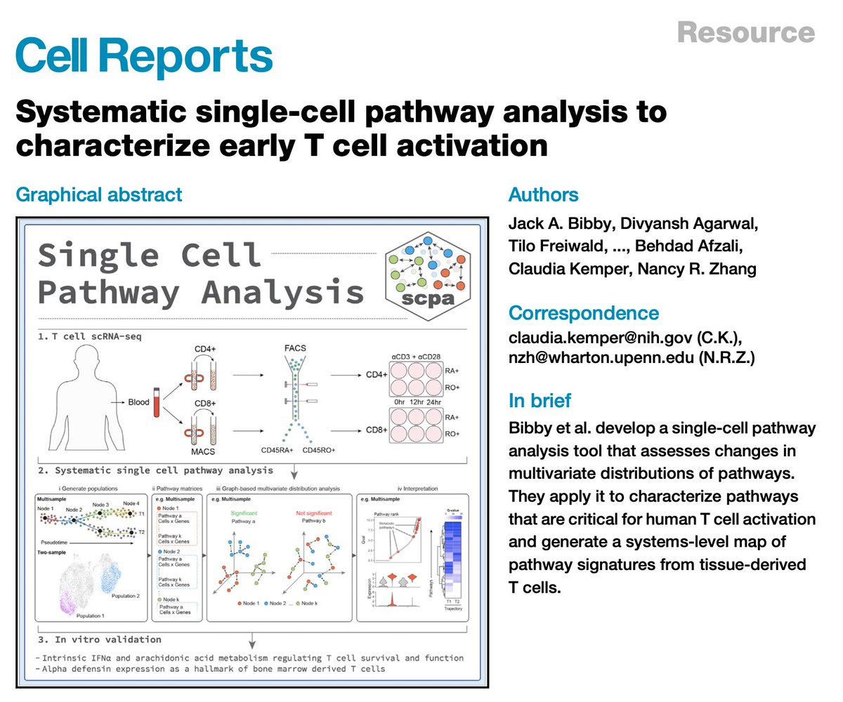 Hi all. We're happy to share our latest paper, just published in <a href="/CellReports/">Cell Reports</a>. We developed a scRNA-seq pathway analysis package and applied it to look at T cell activation in vitro and in tissue. Here's the paper: cell.com/action/showPdf….
