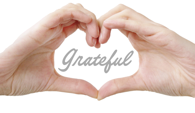 DocSarahDVM's tweet image. Grateful for people, pigs, and you! 🐷 - mailchi.mp/porkavenuetrai…