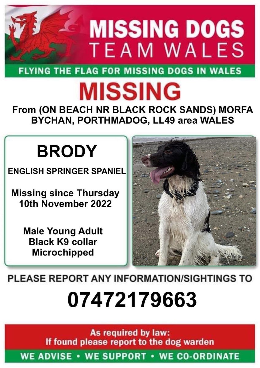 rosiedoc666's tweet photo. ‼️BRODY MISSING FROM (ON BEACH NEAR BLACK ROCK SANDS) #MORFABYCHAN #PORTHMADOG #LL49 #WALES
‼️HE WAS WALKED FROM #CRICCIETH #LL52 AREA
PLS LOCALS LOOK OUT‼️Thurs 10/11/22 DID U SEE HIM? #ESS
CHIPPED/wearing a Black K9 collar
Any info or sightings pls ring number on poster ASAP https://t.co/IJEB9wk0Xf