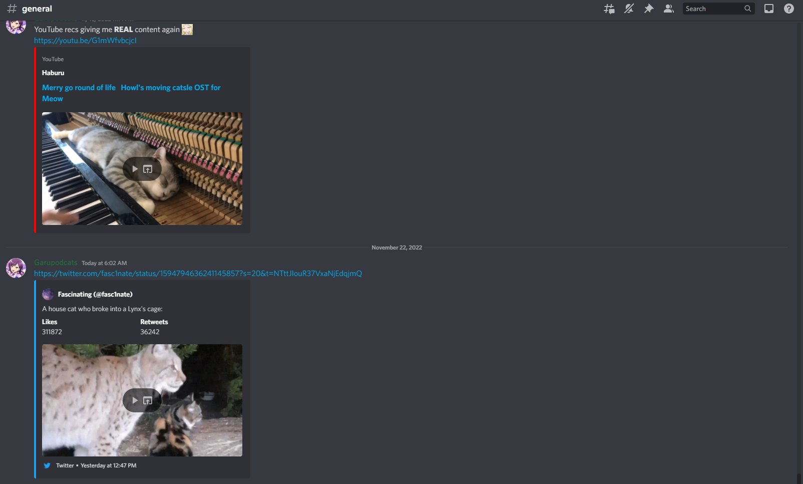 pedreiva-on-twitter-i-accidentally-pushed-the-wrong-button-and