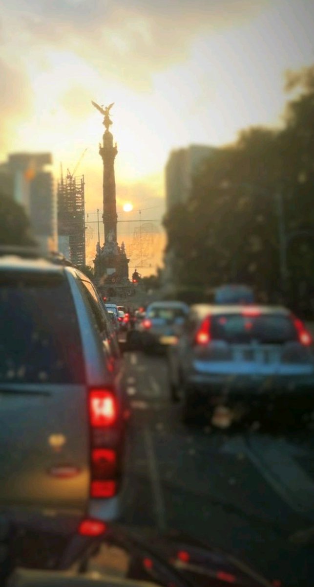 Secfor's tweet photo. Mexico City in the rain.
#executiveprotection
#securetransportation
#risk management
#MexicoCity https://t.co/QA6r7uvdv7