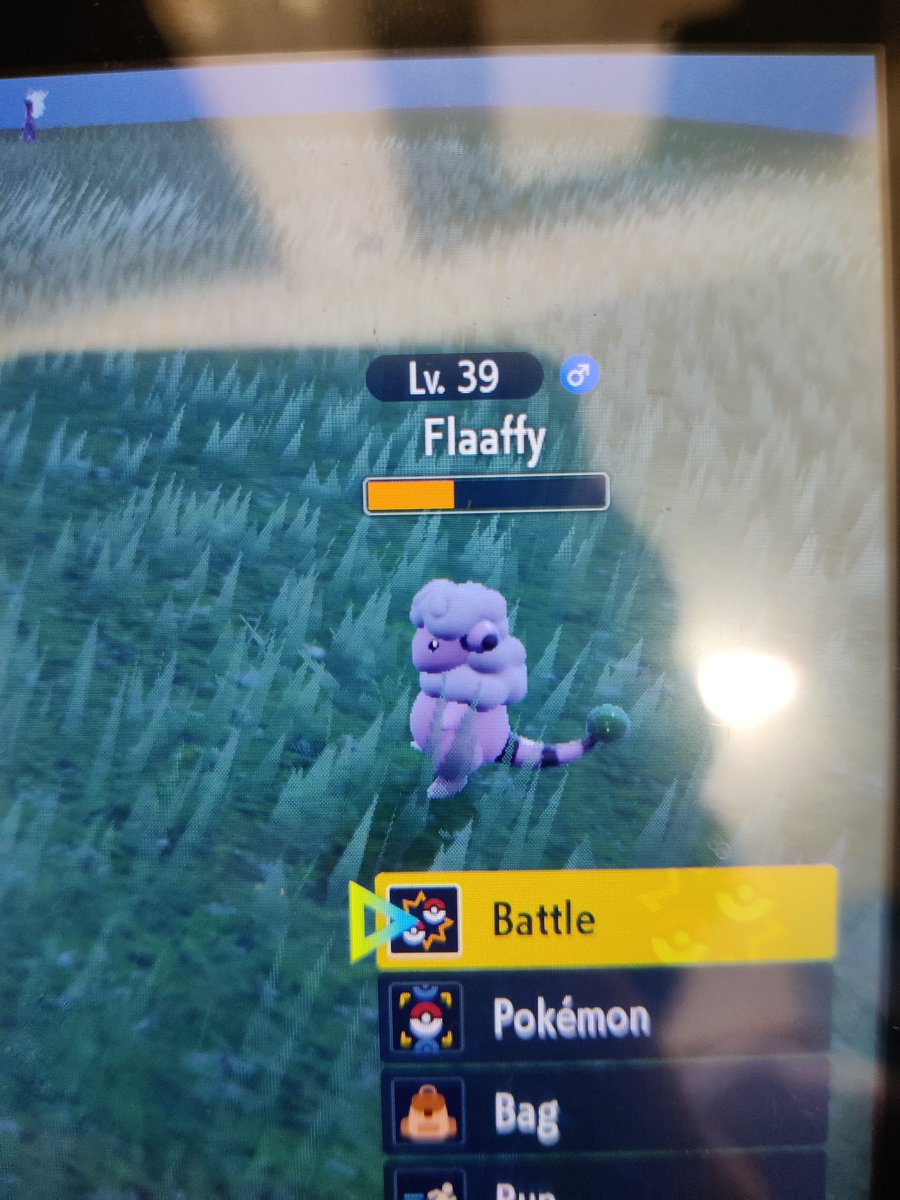 076Jake's tweet image. Cheeky lunch break shiny that's #2