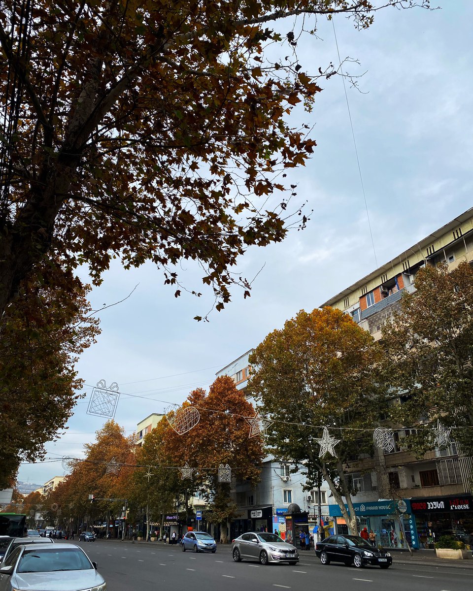 見上げると路上のイルミネーションが！夜はもう点灯してるのかな〜12月からかなあ。（夜出歩かないから確認できない）