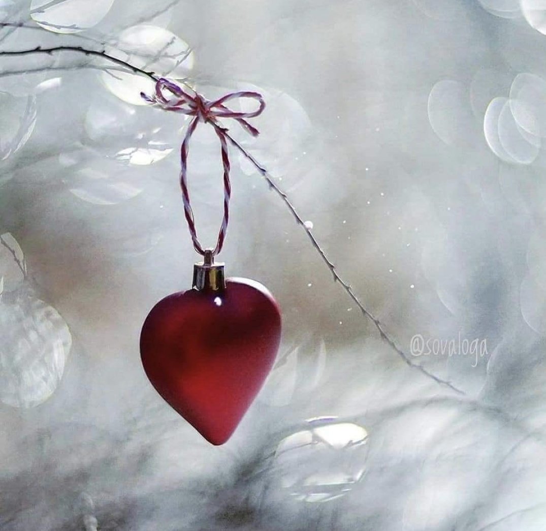 SoyLauraRivas's tweet photo. #LoveinTheAir buen provecho 
#ModoLau #Seguimos #TAMJ https://t.co/jCmA8tU67L