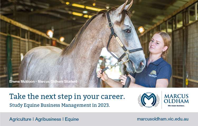 🔥 Take the next step in your career!

Study Equine Business Management in 2023

<a href="/marcusoldham1/">Marcus Oldham</a>