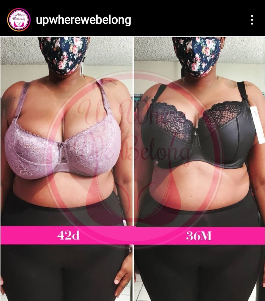 Light Bowgun Brigadier tweet media