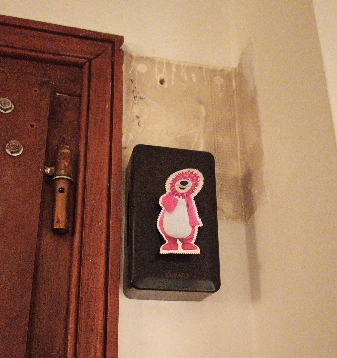 🐢 Tortue Génitale 🎱 tweet media