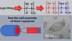 Check out our collaborative paper on the first polyphosphinoborane block copolymers! Great work by Matt <a href="/MatthewWiebe17/">Matthew Wiebe</a> Diego <a href="/JD_Garcia_H/">Diego Garcia Hernandez</a> Charlotte <a href="/lotteellis/">Dr. Charlotte Ellis 🧪</a> and Lei <a href="/ShixingLei/">Shixing Lei</a> in collaboration with James and Alex from <a href="/WellerYorkChem/">Andrew Weller</a> <a href="/ChemistryatYork/">Chemistry at York</a>

doi.org/10.1002/anie.2…