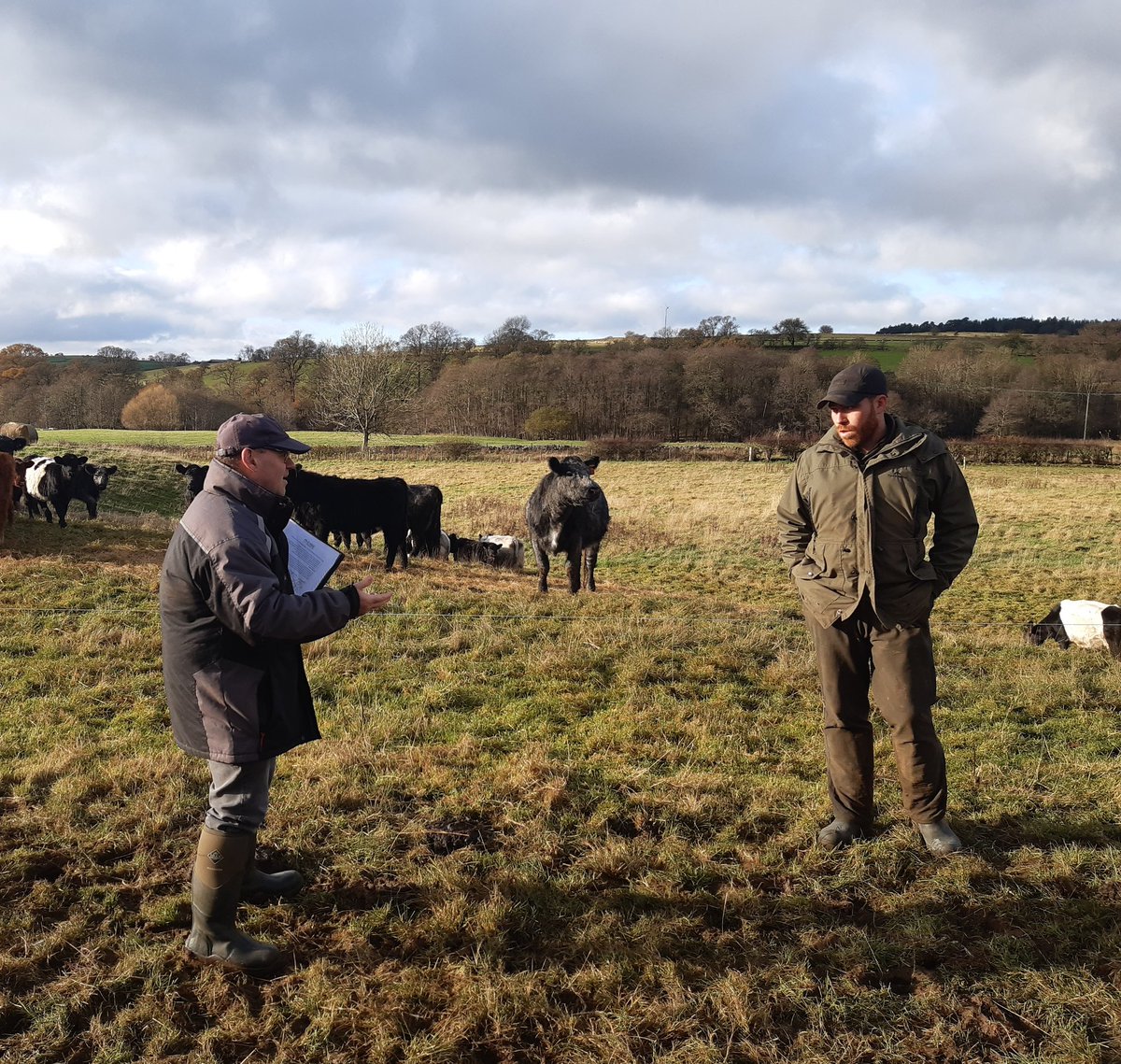 Murdo Laurie tweet media