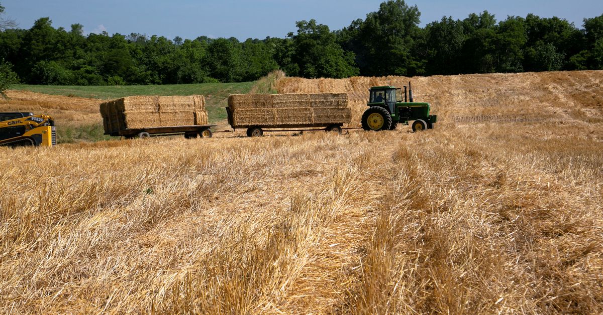 Reuters's tweet image. End of cheap money for U.S. farmers plows trouble into food production reut.rs/3i8pI7r