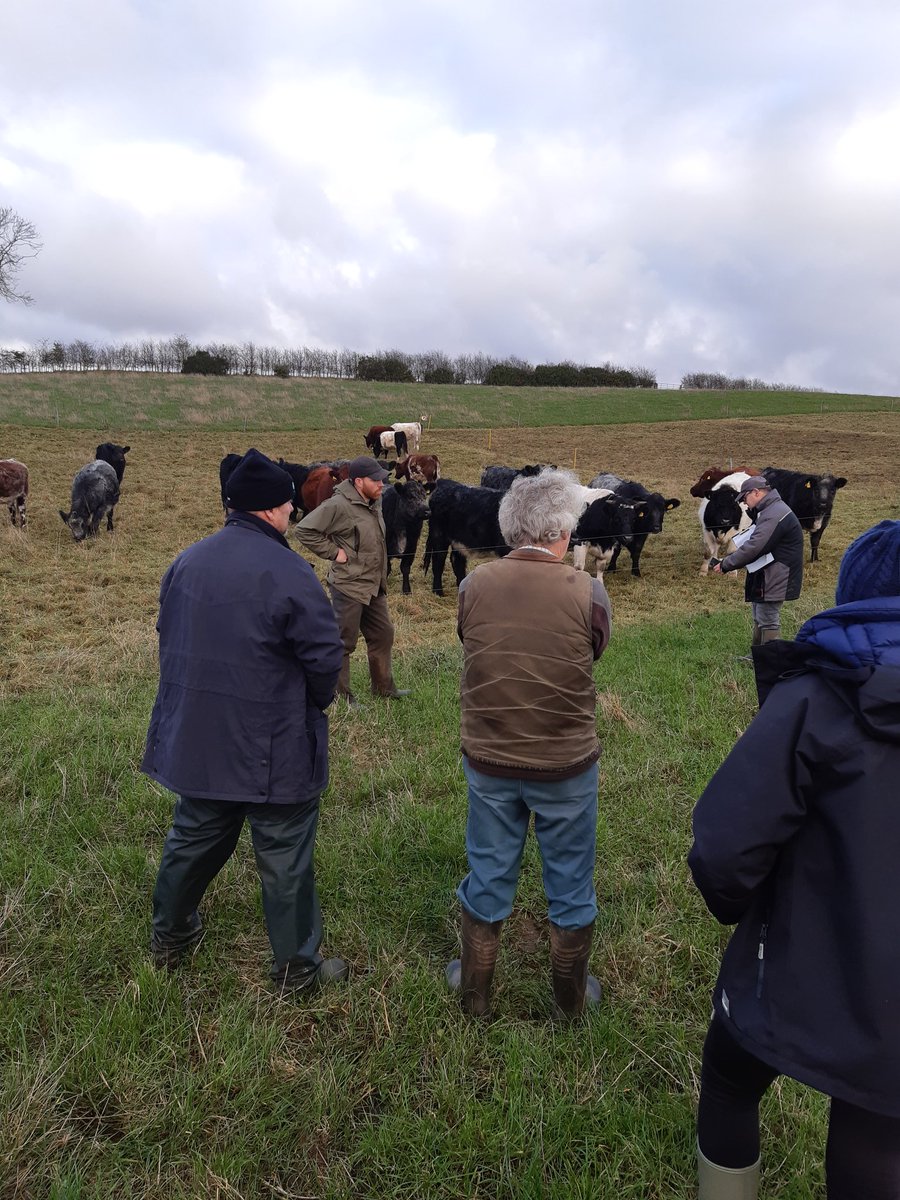 Murdo Laurie tweet media