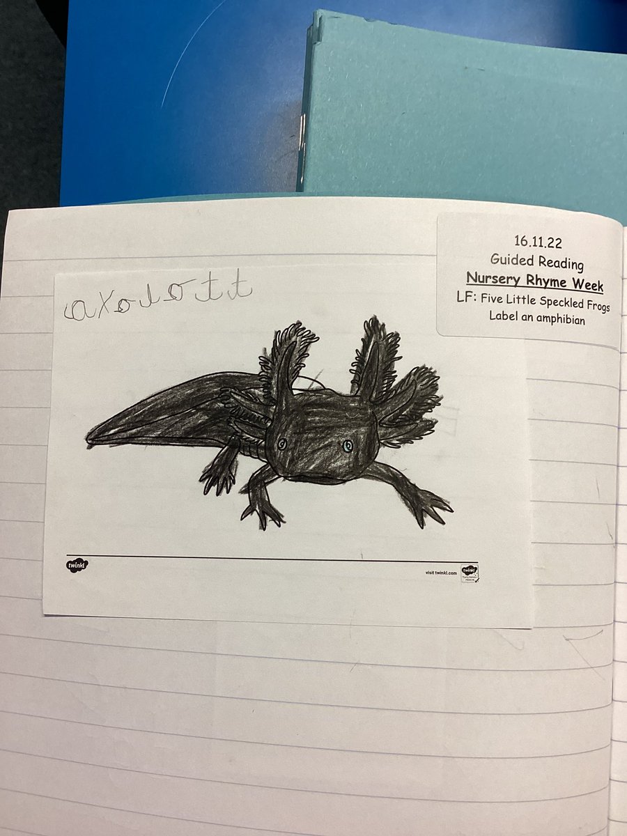 MrsTyler_2's tweet photo. Year 1 completed some lovely colouring and labelling pictures during World nursery rhyme week. They’re doing so well with their handwriting. Great job Year 1. @bastonceprimary https://t.co/OE14G74fGo