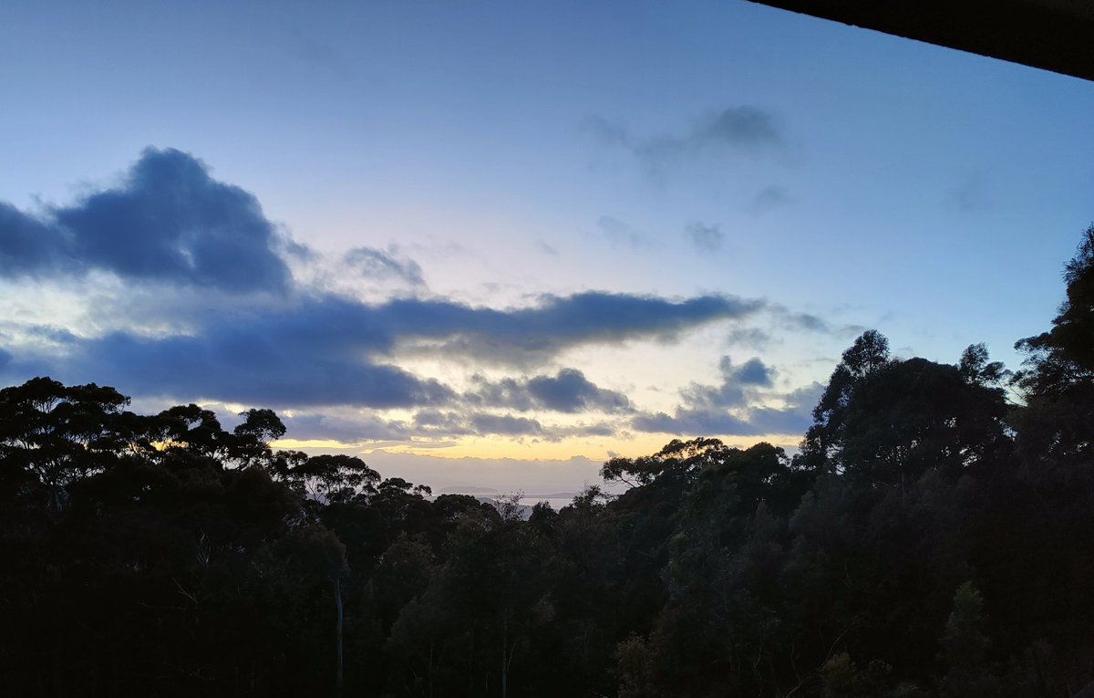 StuartThorn6's tweet photo. Morning .. Just a tad windy
#hobart
#ferntree https://t.co/yLp8oYkLcu