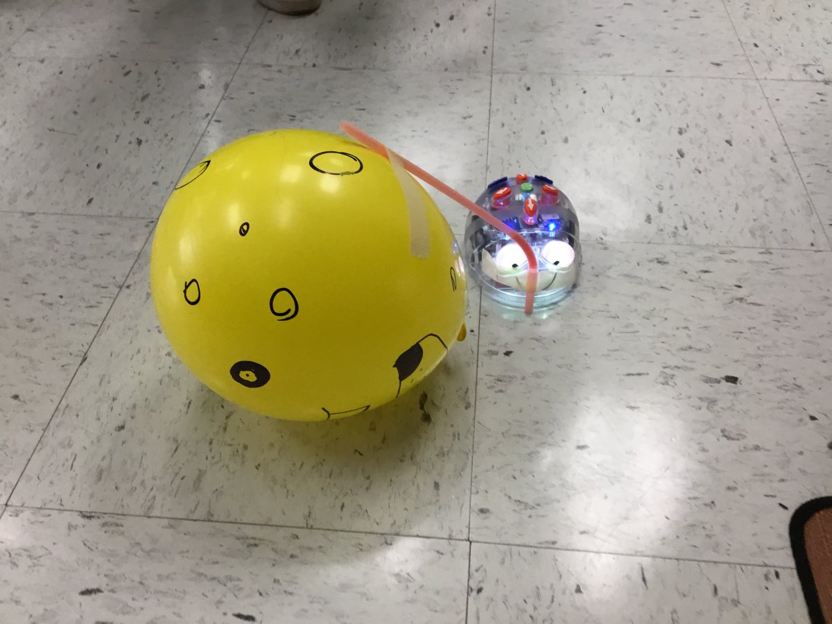 Sanders Corner Elementary tweet media