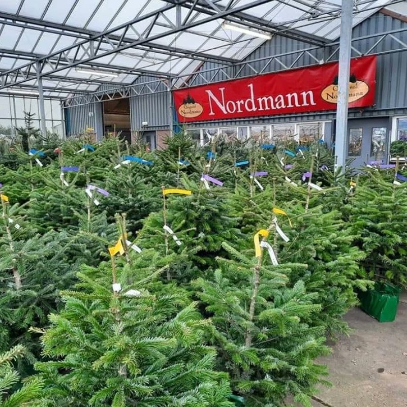 CoenVdijkPlant's tweet photo. 🎄🎄kerstbomenverkoop 🎄
Wij zijn begonnen !
#nieuwveen #kerstbomen https://t.co/3J6GIZWZNA
