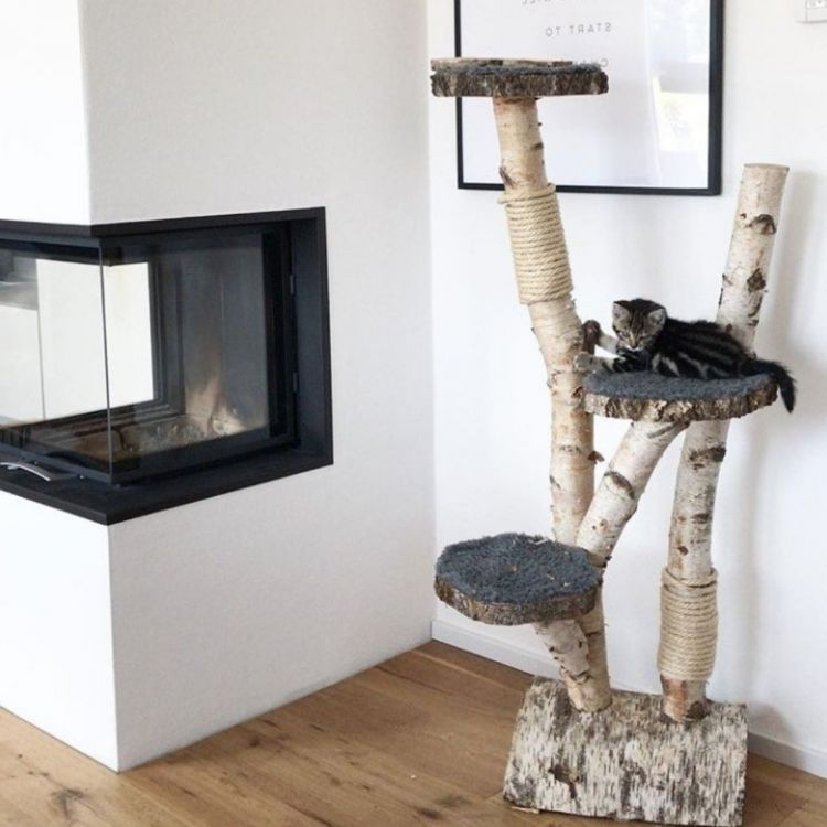 dersteelman's tweet photo. @Hexeausmbusch Hatte ich auch mal vor, aber habe derzeit keine Katze ^^  Wollte sowas in der Art bauen. Aber dat Holz muss gut trocken sein, sonst reißt es nur. Gerade bei Birke geht dann schnell die Rinde ab. https://t.co/49dAL7g7qR