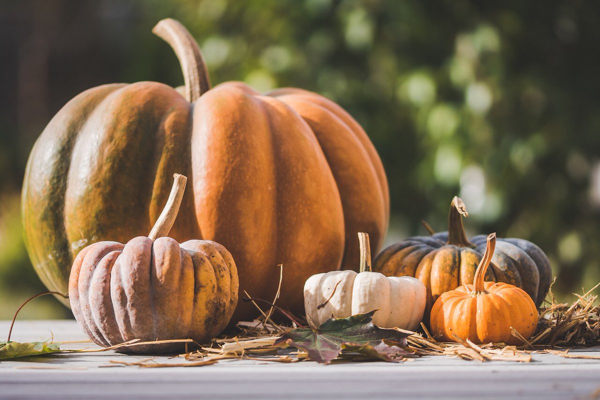 IPANYC1's tweet photo. ***Our office will be closed on Thursday 11/24 and Friday 11/25. Regular hours will resume on Monday 11/28*** Happy Thanksgiving from all of us at IPA Manhattan PT!!
#Thanksgiving2022 #thankful #fall #holidayhours #physicaltherapy #HappyThanksgiving https://t.co/vaLnqBD0TQ
