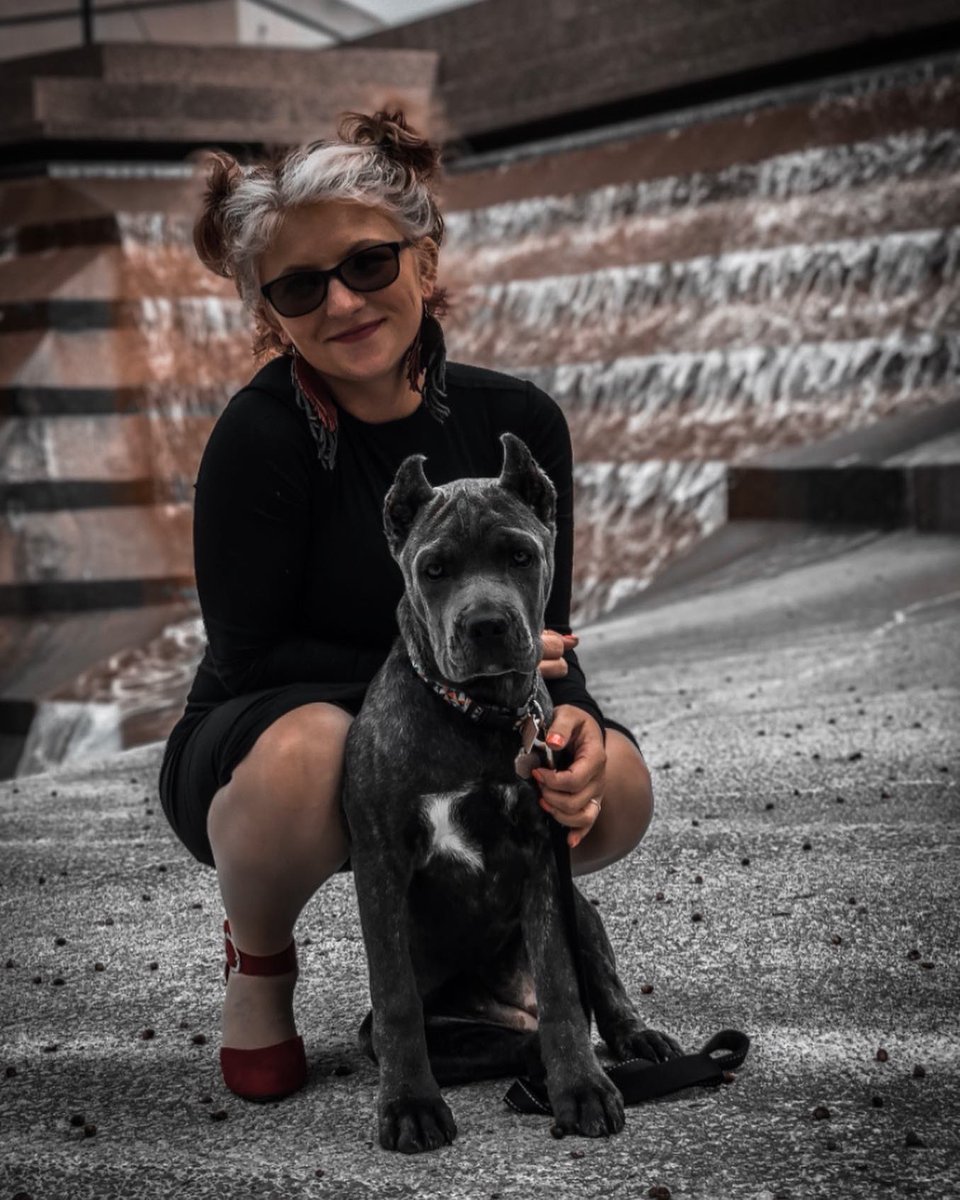 hight28's tweet photo. Living and loving running in parallel #canecorso https://t.co/hKuKjKbpiB