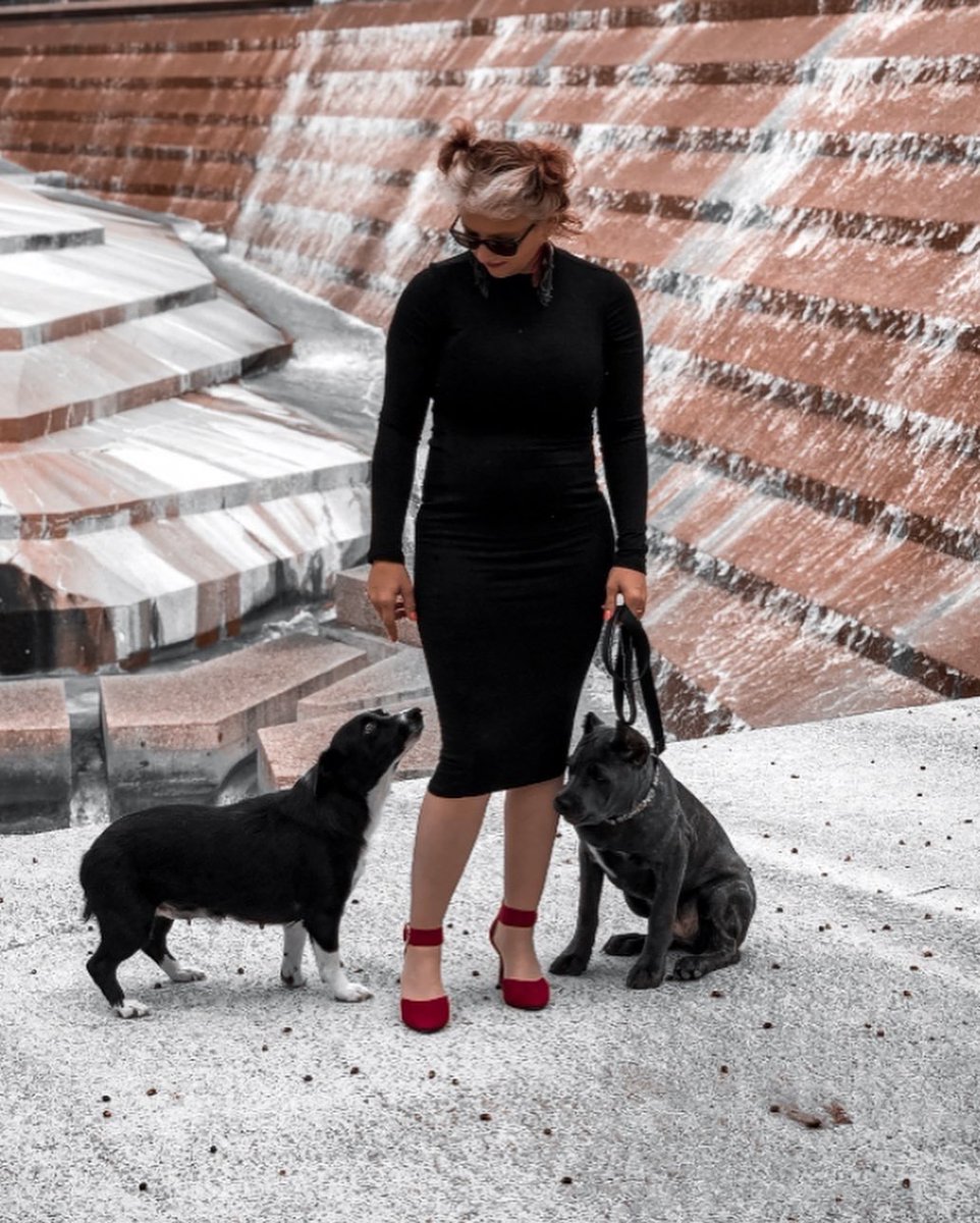 hight28's tweet photo. Living and loving running in parallel #canecorso https://t.co/hKuKjKbpiB