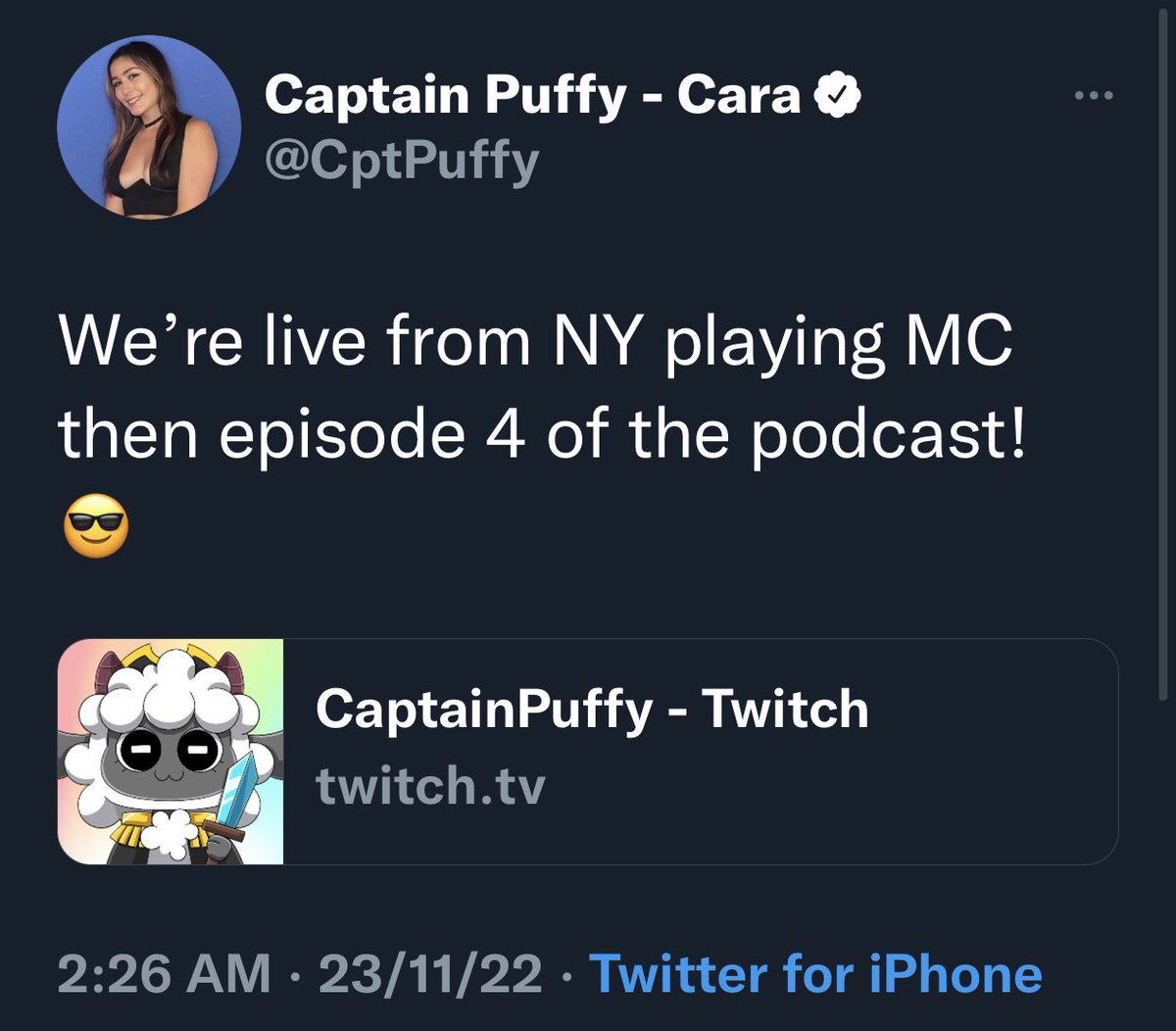 Captain Puffy Updates tweet media