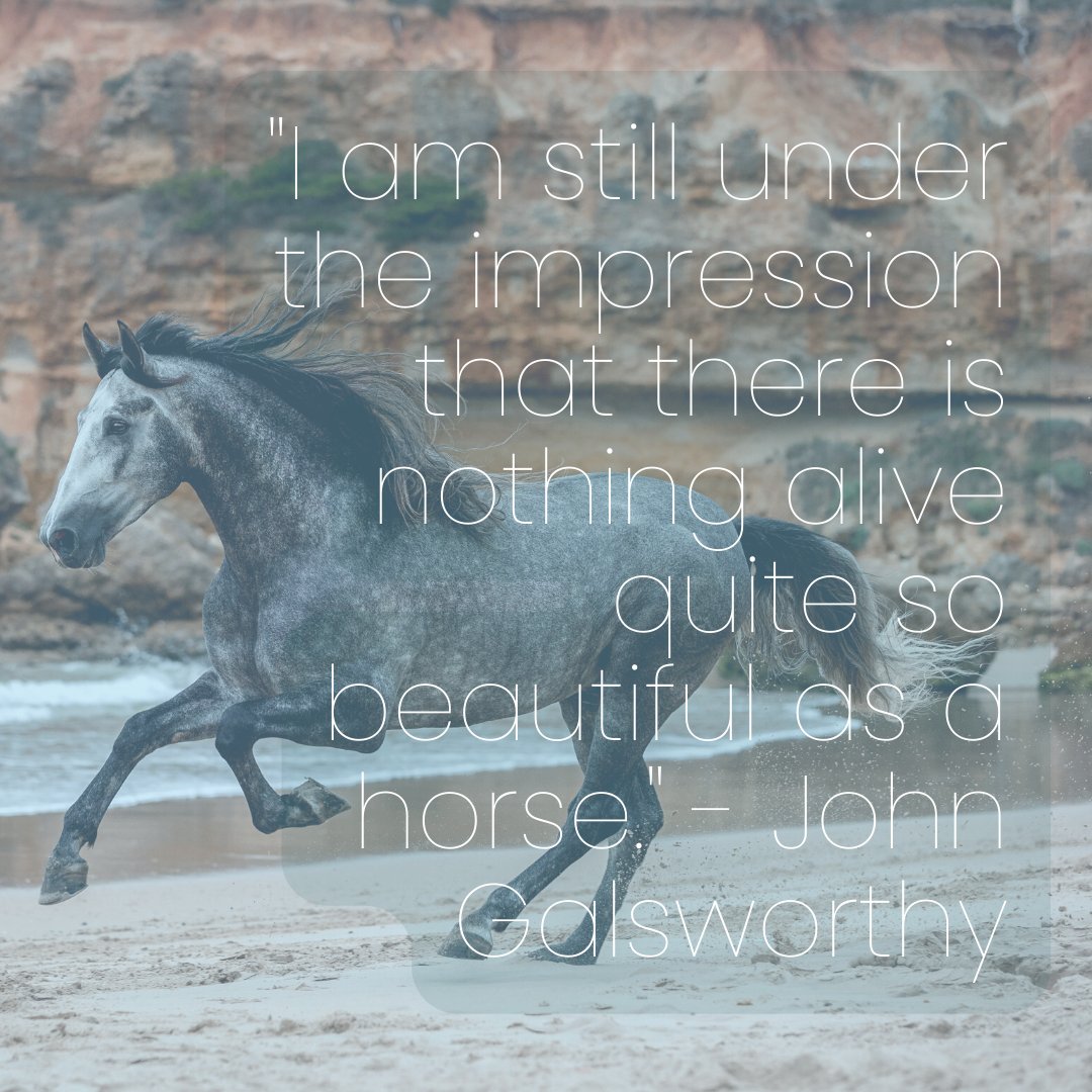 TrainingLines's tweet photo. We definitely agree!! π΄ππ
#quotes #horsequotes #horselover #ponylover #johngalsworthy https://t.co/iTIgSSnufB