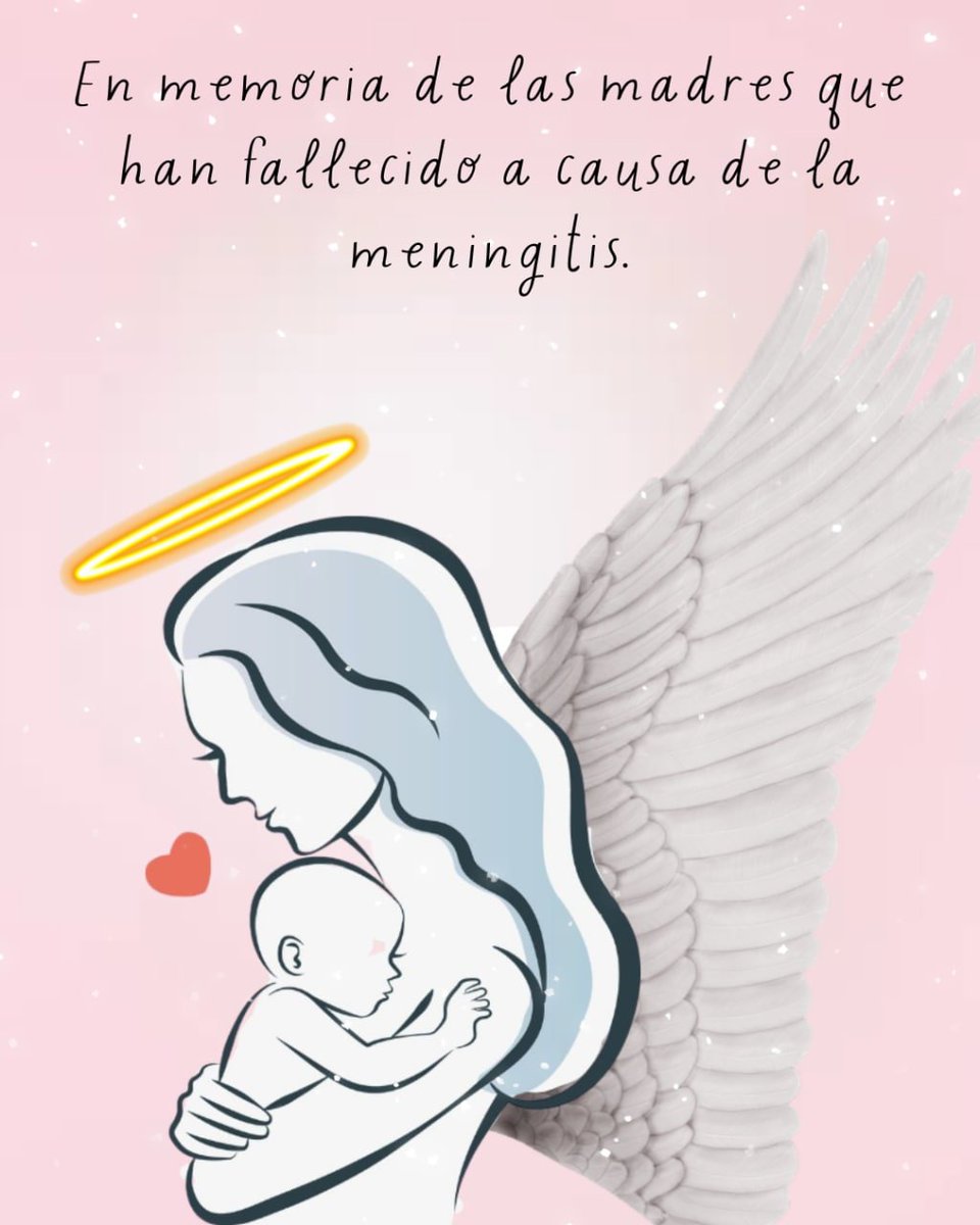 IrmaPereyra8's tweet photo. El cielo ha recibido a mujeres fuertes y admirables, guerras que lucharon hasta el último segundo por poder volver a casa y alimentar a sus hijos. La #meningitis le ha quitado la vida a 9 mujeres, hijas, madres, hermanas, sobrinas, amigas y primas. 👇🏻
https://t.co/R8xUFzx7ga https://t.co/yKDhGPmbfJ