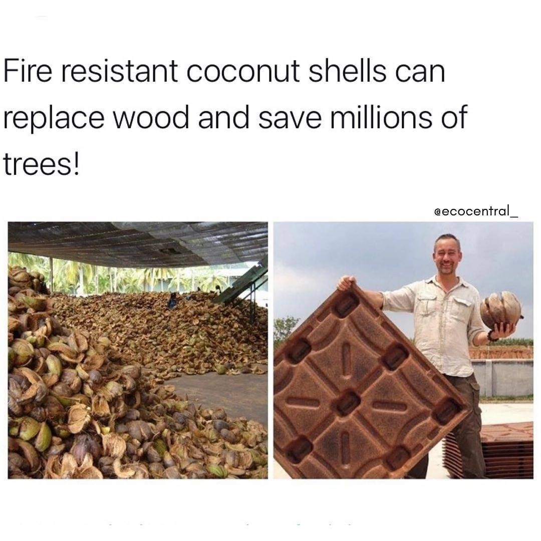 ecofriendlyfact's tweet photo. Research estimate that 15.3 billion trees are cut down annually, mainly for manufacturing. Although wood is not essential for the manufacturing of goods,
#unwrapxmas #GetWasteEd #reuse #reduce #recycle #recycling #recycled #wastefree #zerowastelife #zerowastehome https://t.co/NeC8Ihsp48