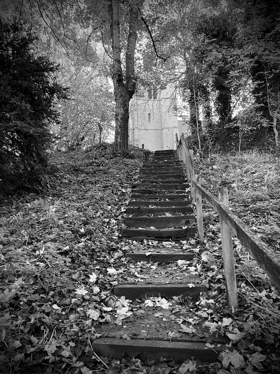 andyleescooks's tweet photo. @danny_robins listening to the latest episode of #witchfarm on my walk with Lily dog… such a good series and very eerie particularly past our local church… some of the steps are actually made from very old gravestones… https://t.co/Z6teG2E3O6